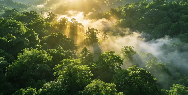 淮南肺癌172基因检测图片1